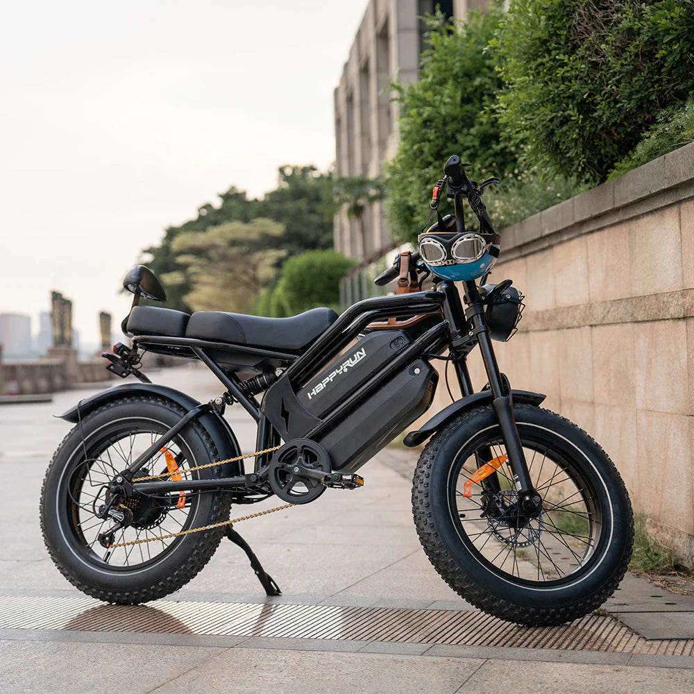 2025 NEW HappyRun G70 2000W Dual Battery Fast Electric Cargo Bike for Sale