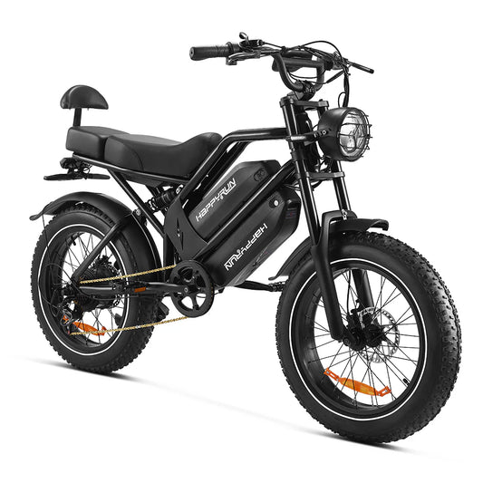 2025 NEW HappyRun G70 2000W Dual Battery Fast Electric Cargo Bike for Sale