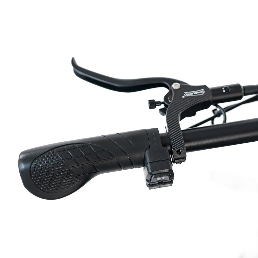 2025 NEW HappyRun G70 2000W Dual Battery Fast Electric Cargo Bike for Sale