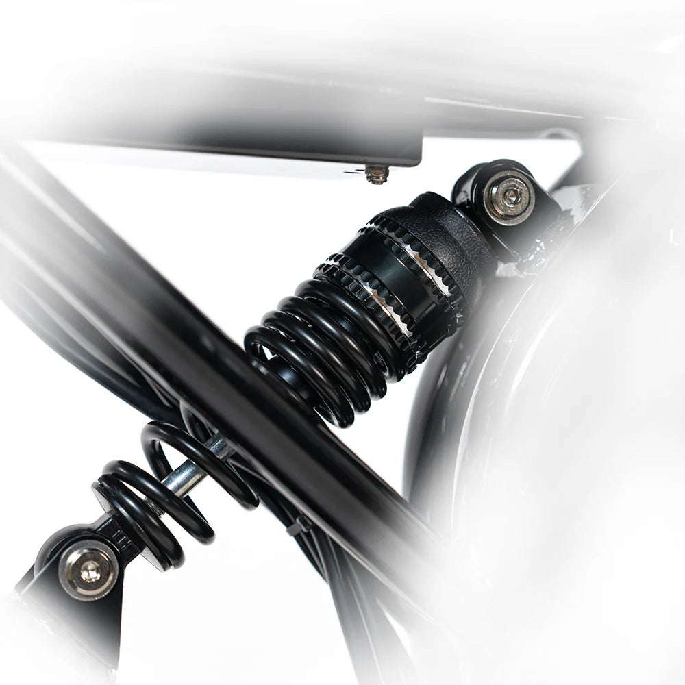 2025 NEW HappyRun G70 2000W Dual Battery Fast Electric Cargo Bike for Sale