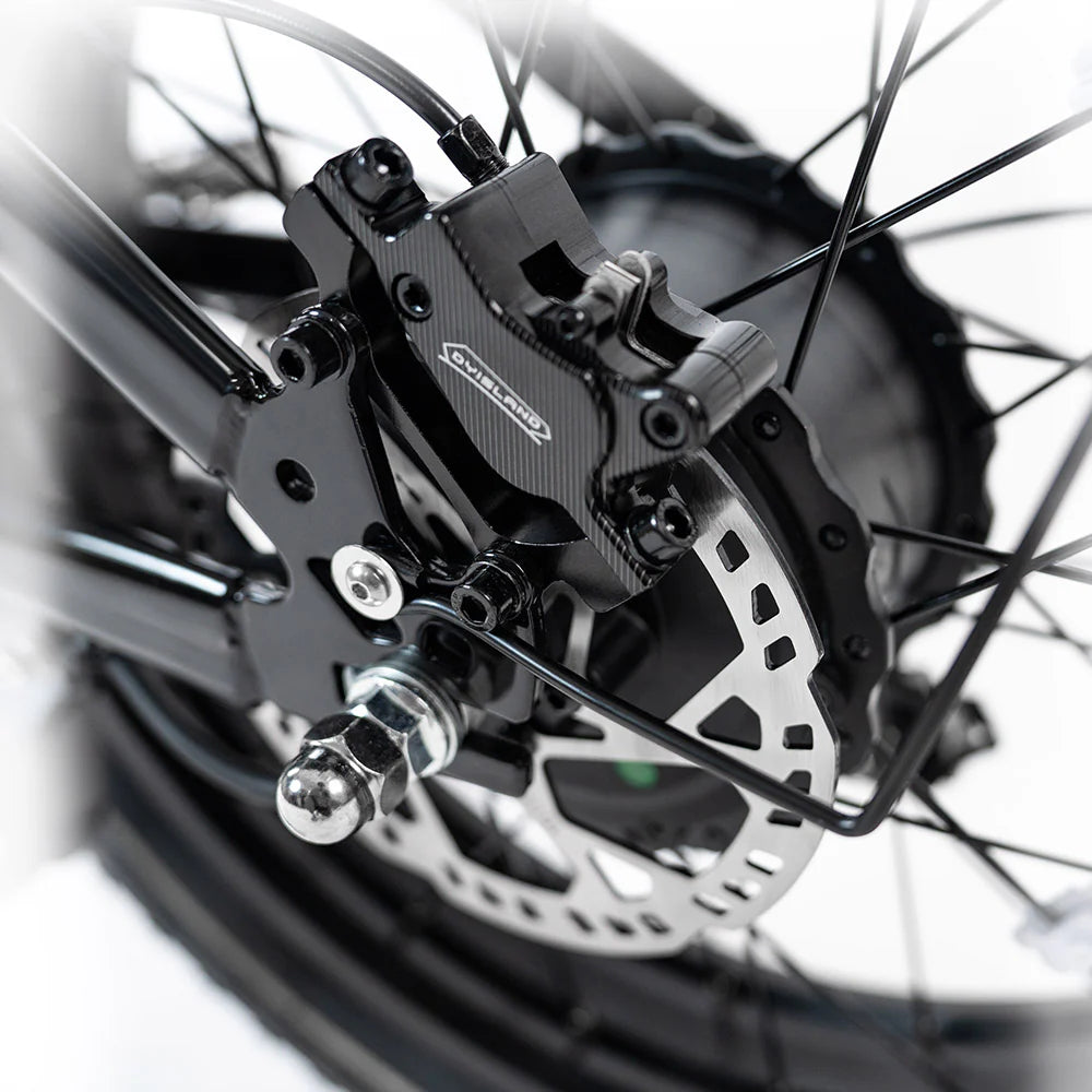 2025 NEW HappyRun G70 2000W Dual Battery Fast Electric Cargo Bike for Sale