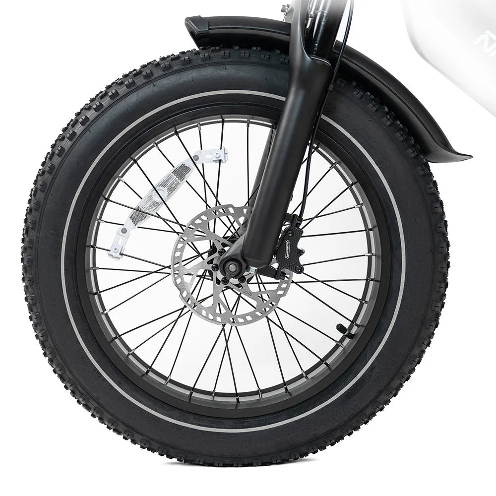 2025 NEW HappyRun G70 2000W Dual Battery Fast Electric Cargo Bike for Sale