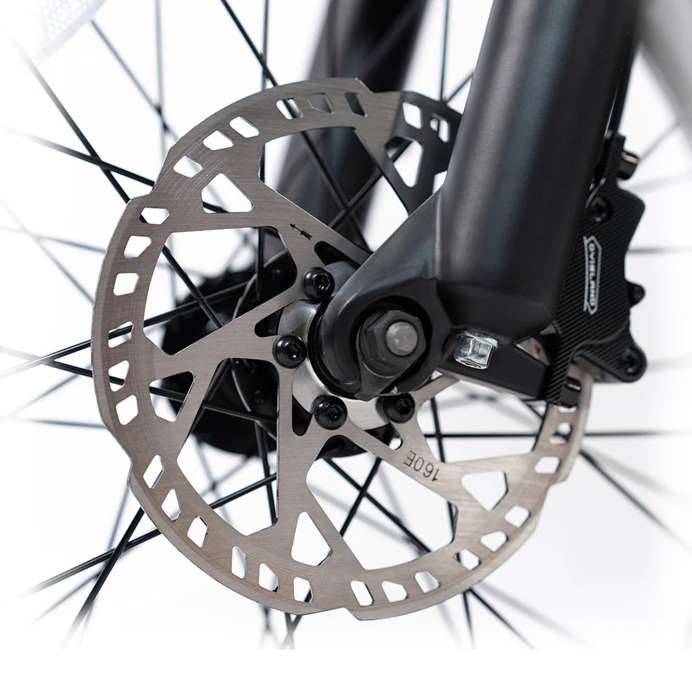 2025 NEW HappyRun G70 2000W Dual Battery Fast Electric Cargo Bike for Sale