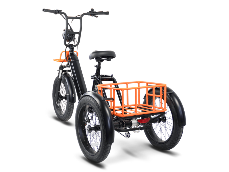 Flex Trike