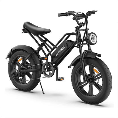 Electric Bike Cargo Black City E-bike For Sale Tank G50