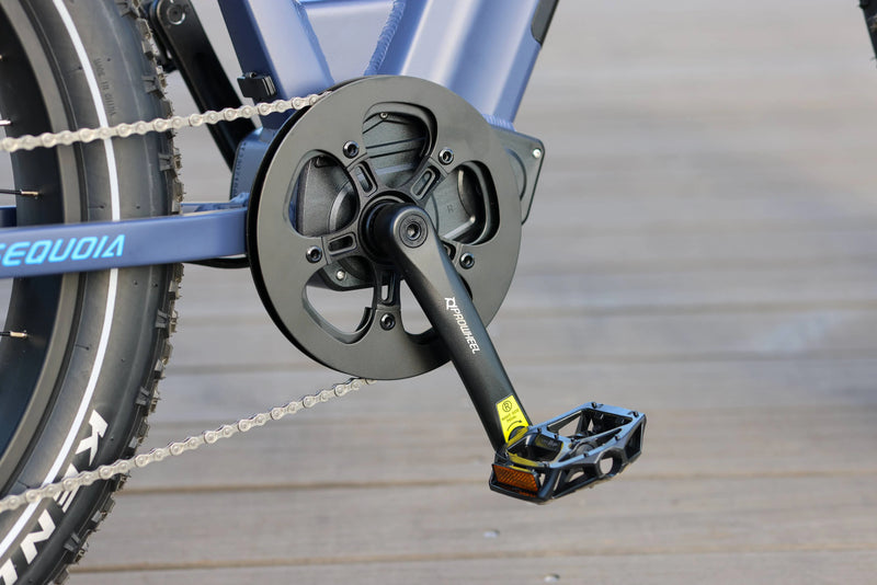 Torque sensor