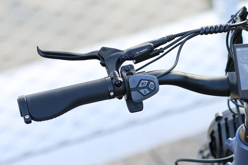 Throttle & Pedal Assist
