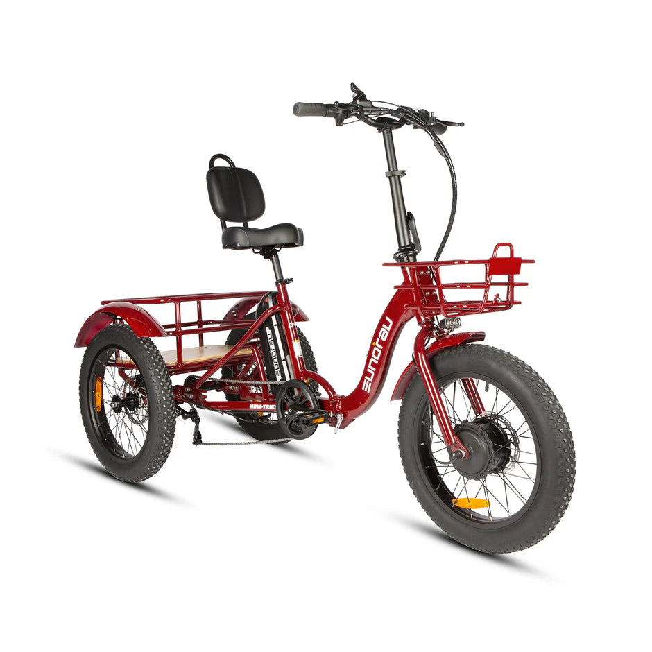 New-Trike 2.0