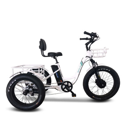 Caddy Pro